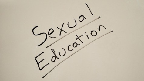 Student-made sexual education website in development