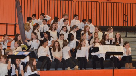 Wayland Sings 2016 (13 photos)