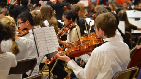 String Jamboree (33 photos)