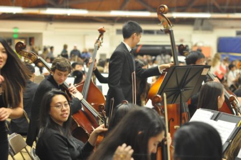 WHS hosts String Jam (31 photos)
