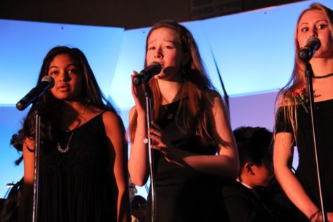 Orchestra and chorus perform in Pops concert (26 photos)