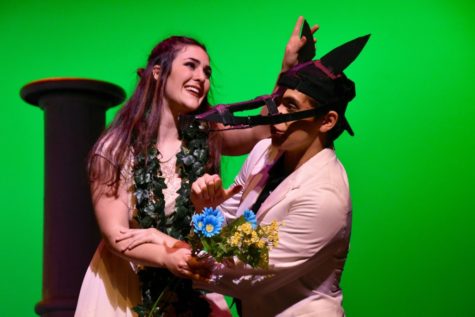 The Play’s the Thing (32 photos)