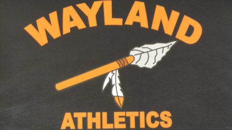 Wayland High School to remove Native American imagery from logo