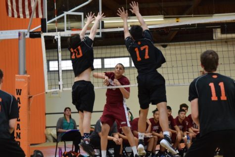 Boys’ volleyball defeats Lowell (34 photos)