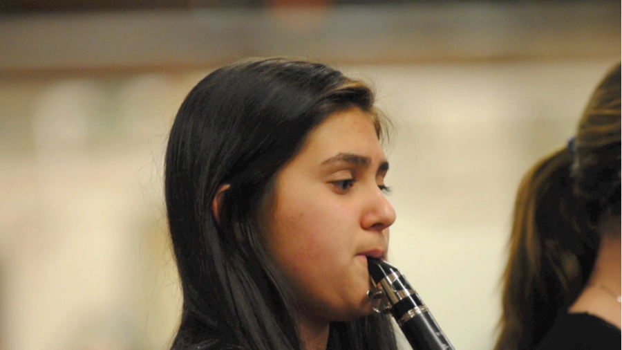 Student musicians play in annual Bandfest (Audio Slideshow)