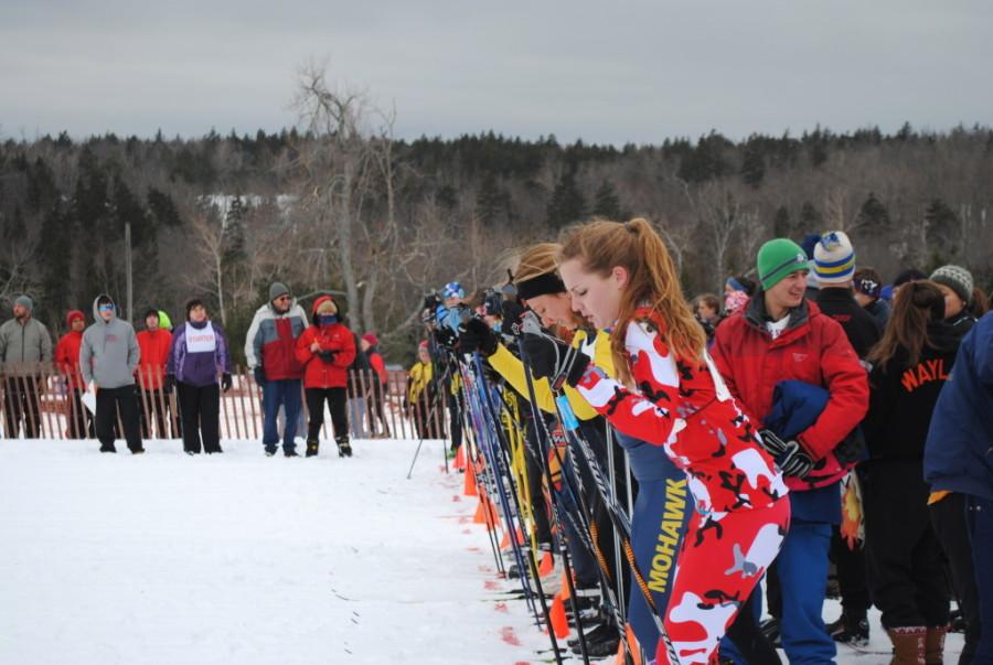 Skiers compete in state championships (33 photos)