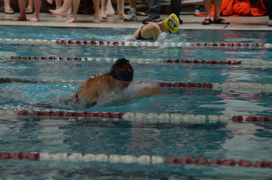 On Friday, February 1, the Wayland girls  swim team claimed the title of DCL champions. 