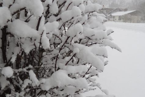 Breaking News: All Wayland schools closed on Wednesday, February 5