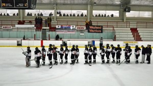 Boys’ hockey sectional finals preview