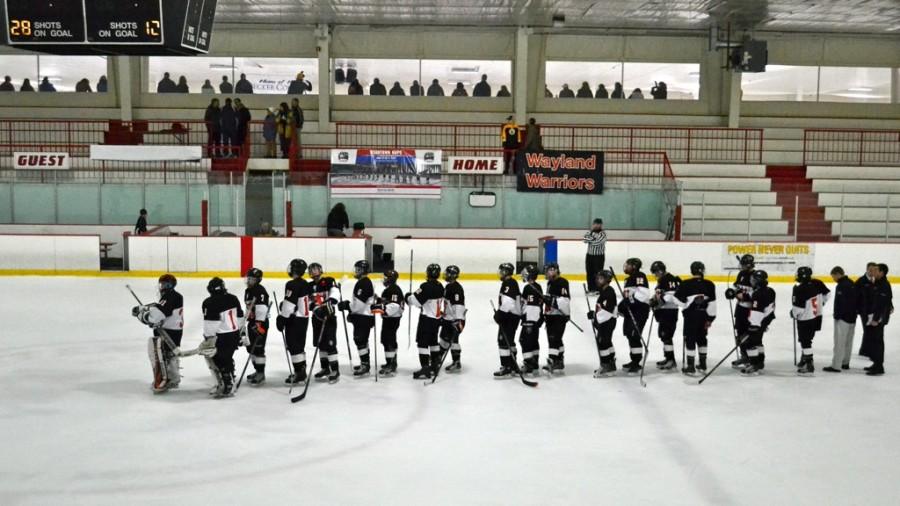 Pictured above is the boys hockey team. Tonight they will play Newton South in the boys hockey sectional finals.