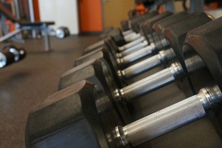 Pictured above are weights from the weight room. The wellness department at WHS has decided to stop implementing "Girls Only" hours for the weight room. 