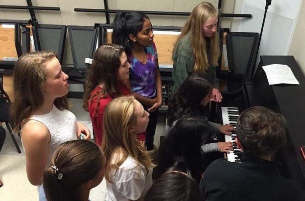 Above is a picture of a combined a cappella rehearsal in a practice room at WHS. From left to right, top to bottom, Anitta Thomas, Ella Johnson, Jen Curran, Lilly Lin, Clara Hurney,  Jessica DeMasi, Maya Anand, Emma DiIanni and Alexa Calder. The a cappella auditions for the 2016-2017 school year have been moved to the fall.