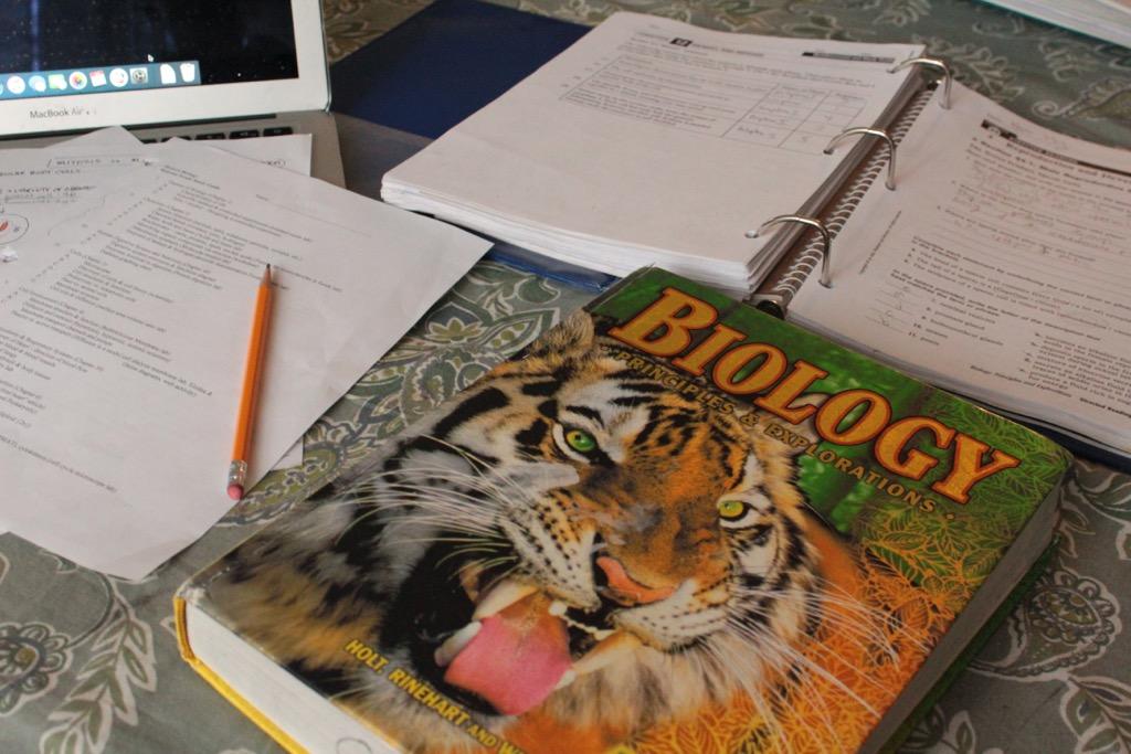 Finals will run non-consecutively this year, with the math final taking place on Wednesday, June 20 and the science final taking place on Friday, June 22.