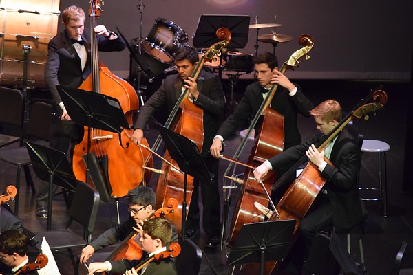 Above, junior Dylan Rader (top left) plays bass in a WHS orchestra concert. Rader has played bass for eight years and was chosen to perform as first chair bassist in the Eastern District Senior Festival orchestra. "[Finding out I made first chair] was probably one of the happiest moments of my life," Rader said.