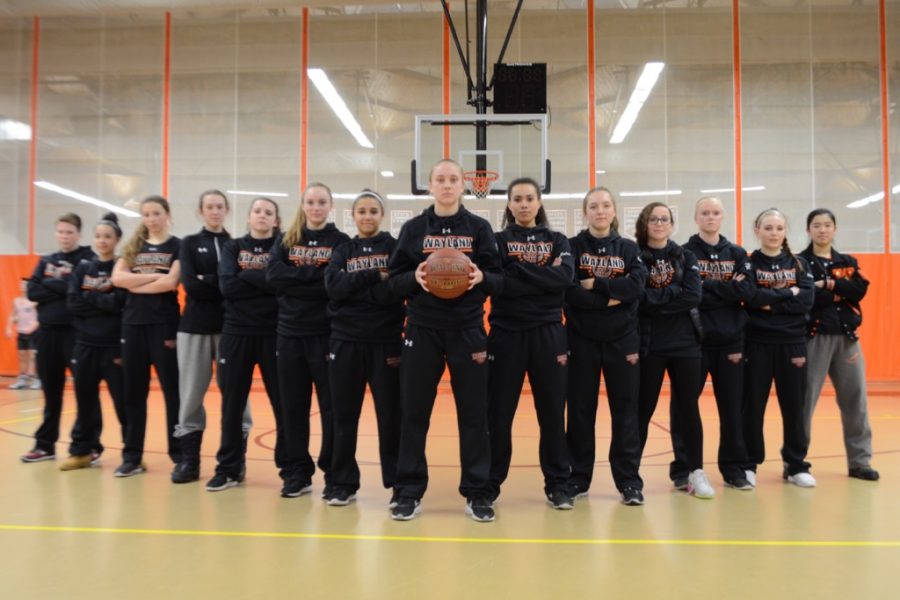 Girls basketball faces Concord Carlisle for Senior Night (19 photos)