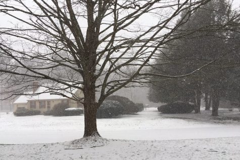 BREAKING NEWS: All Wayland Public Schools closed on Thursday, February 9