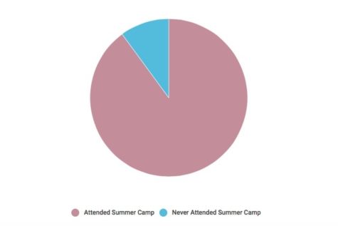 Infographic: WHS students at camp