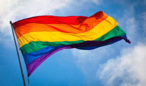 Examining WHS’ recent surge in LGBTQ activism