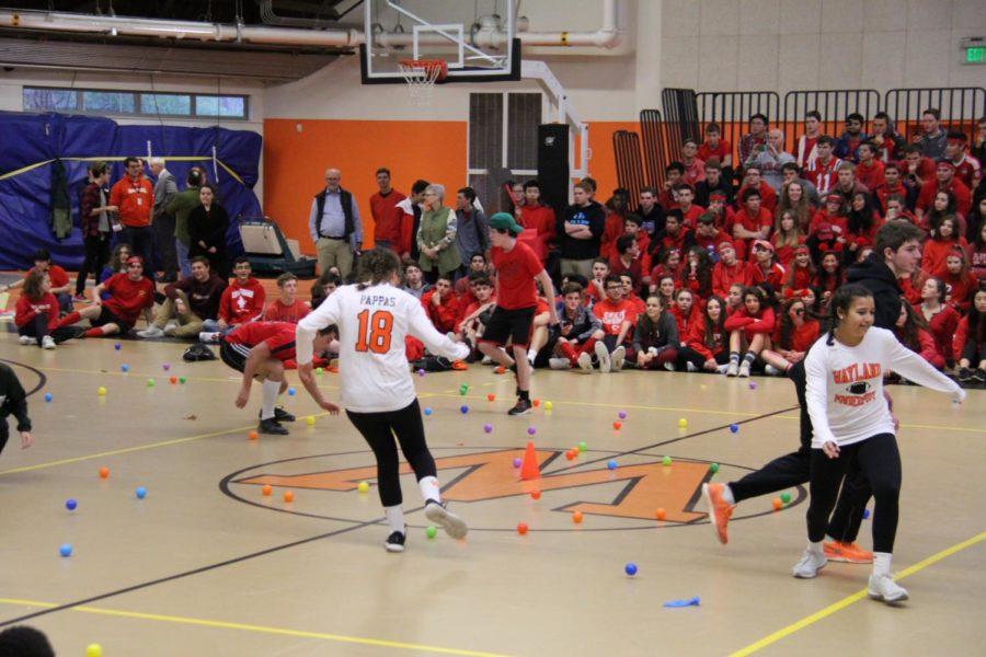 Spirit Day 2017 comes to a close with a game of Get Off My Lawn. Below are the activities and psyches for 2019s Spirit Week.