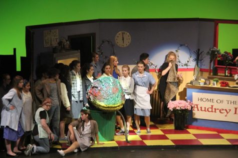 Winter play preview 2017