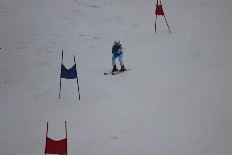 A Wayland skier maneuvers through an Alpine ski course. The Alpine and Nordic ski teams will hold their annual Ski Swap on Dec. 7 and Dec. 8, where students can drop off equipment and buy other equipment to support the teams.