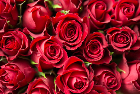 Bachelor Recap: Week Seven