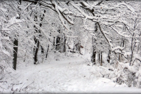 Dr. Unobskey’s process of calling snow days