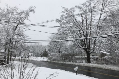 BREAKING NEWS: Wayland Public Schools closed on Thursday, March 8