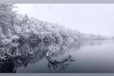 UPDATED: Winter storm Skylar photo contest (33 photos)