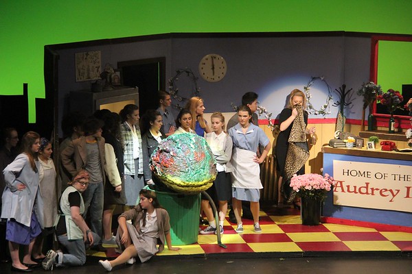 Pictured above is the cast of the fall musical, Little Shop of Horrors, directed by Aidan O'Hara. 