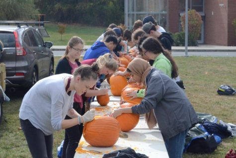 Top 15 favorite fall activities