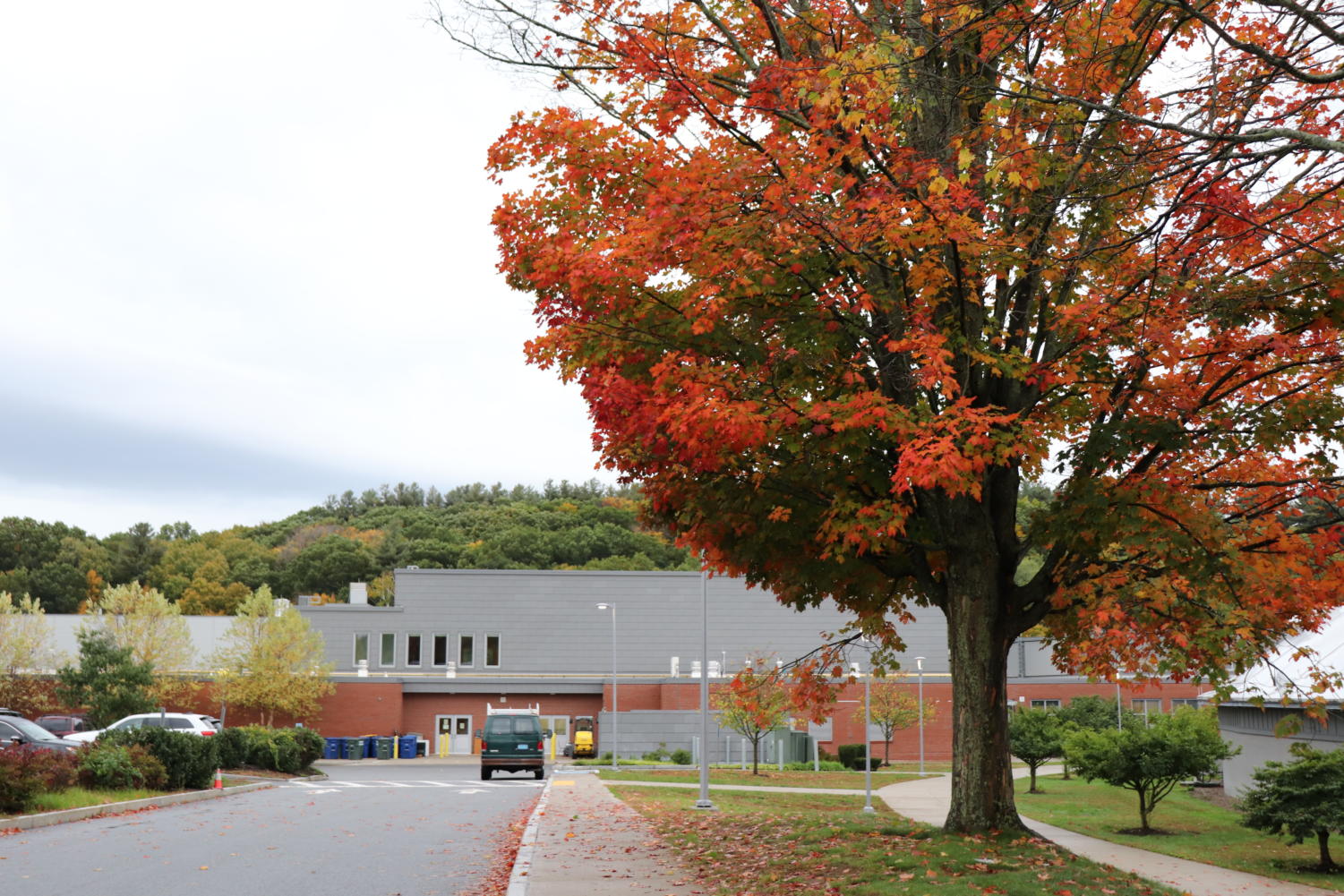 WHS students share their thoughts on autumn.