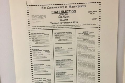 Seniors vote for the first time in midterm elections