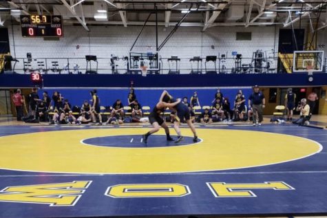 WHS wrestling adds another girl to a male-dominated team