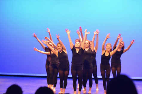 Window Dance Ensemble welcomes new members