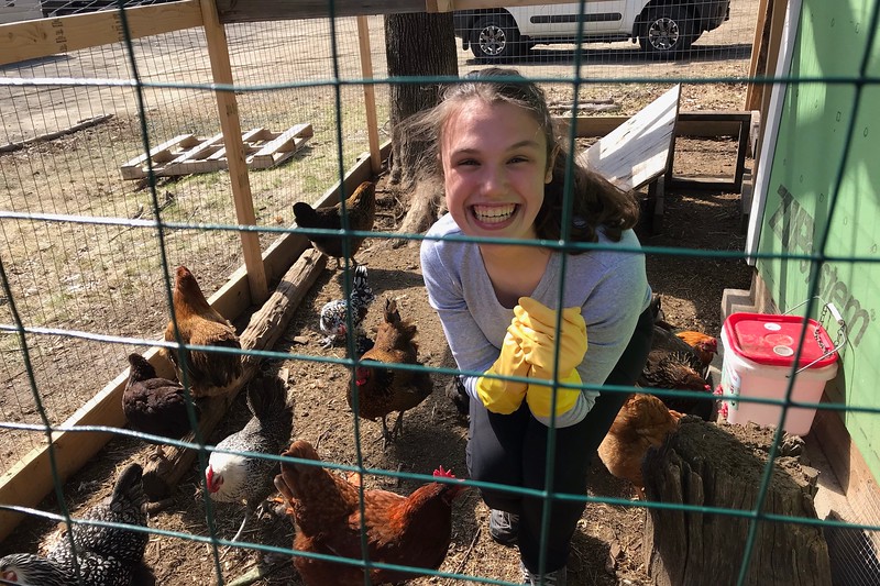 Sophomore Lara Benciscs feeds the chickens at the farm at Land Sake in Weston, MA. Since November, Benciscs has been going every Saturday as an volunteer. "Find a place near you that supports animals and reach out to them," Bencsics said.