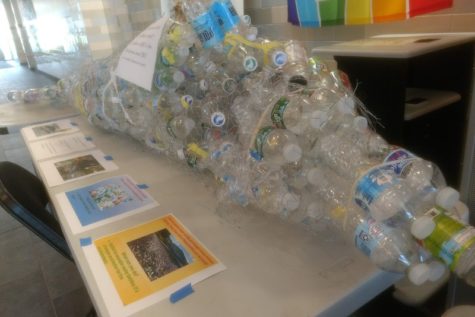 Green Team accrues 300 signatures for plastic ban petition