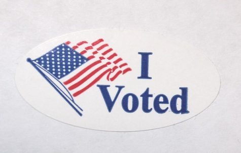 Seniors express their voices in spring town election