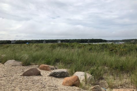 Pictured above is Surf Drive beach in Falmouth, Cape Cod. Cape Cod is the perfect spot for a fun daycation that you can take with either friends or family.