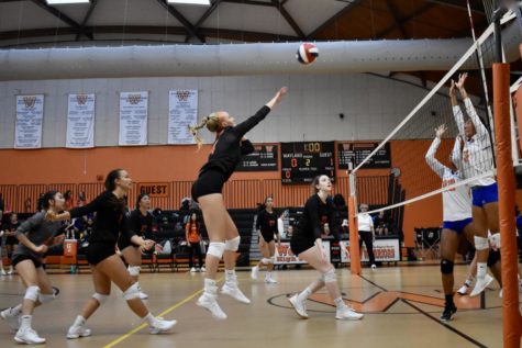 Girls Volleyball triumphs over Newton South (7 photos)