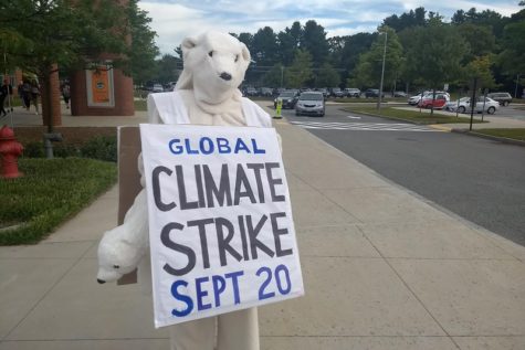 News Brief: “Polar bear” to chill at Wayland High