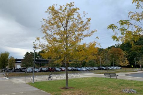 WSPN’s Fall Scavenger Hunt: Win Prizes by Nov. 2
