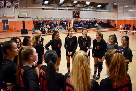 Volleyball spikes a win against Bedford on senior night (15 photos)