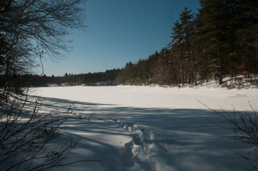 Walden Pond is a great place for ice skating during the wintertime. The natural beauty of Walden makes it a breathtaking and magical experience. Grab a pair of skates and go with a friend!