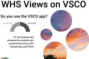 How does the WHS community feel about VSCO?