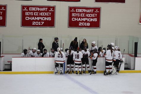Girls hockey scores a win against Shawsheen (9 photos)