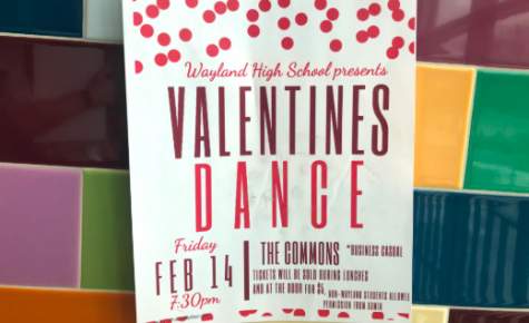 Climate Committee and SADD to host Valentine’s Day dance