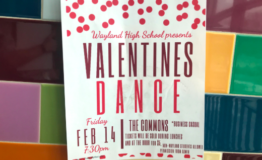 SADD and the Climate Committee will host a school-wide dance on Valentines Day, running from 7:30 to 10 p.m. in the Commons. "[The dance is] something fun for everyone to do and just a way for the grades to connect," senior Climate Committee co-president Emma Sheehan said. The tickets will be sold during lunches on the week of the dance and at the door for $5.