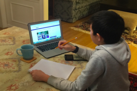 Candidates like Democratic presidential nominee Joe Biden have begun to host online town halls and rallies in the wake of large gatherings being discouraged during the coronavirus pandemic. Senior Simon Fidlin believes the result will be positive.