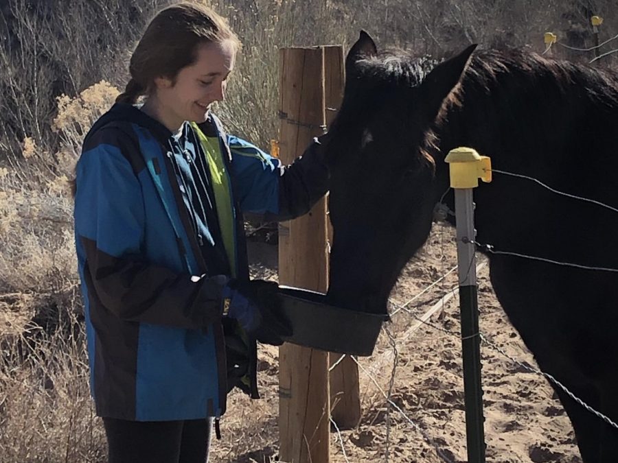 Sophomore Silvija Grava feeds Jay the horse in Kanab, Utah. "[I] got to experience a lot of new animals because I previously had only worked with dogs," Grava said. 